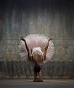 Ken Browar & Deborah Ory, Misty Copeland (Bowing)
Archival pigment print on paper