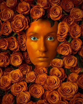 Flora Borsi -&nbsp;B Roses available in 4 sizes