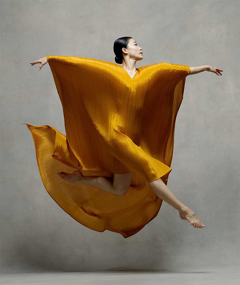 Ken Browar & Deborah Ory, Xin Ying (Issey Miyake 2)
Dye sublimation print on aluminum, 35 x 30 in.