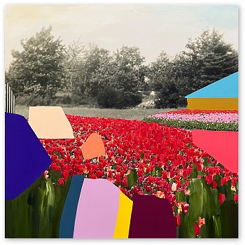 Emily Filler -&nbsp;Field of Tulips #2 35 x 35 in.