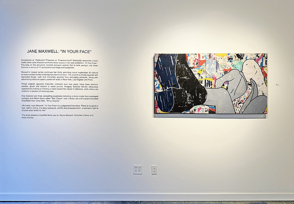 Jane Maxwell: "In Your Face" - Installation View